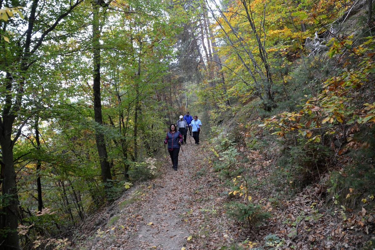 Zunerhof 17.10.2018